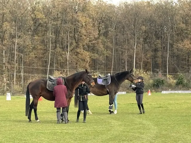 Foto: Martin Wurglits