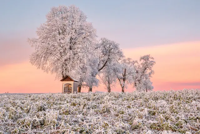 Morgenstimmung bei der Zoisgruberkapelle in Samarein | Foto: Eva Wahlmüller