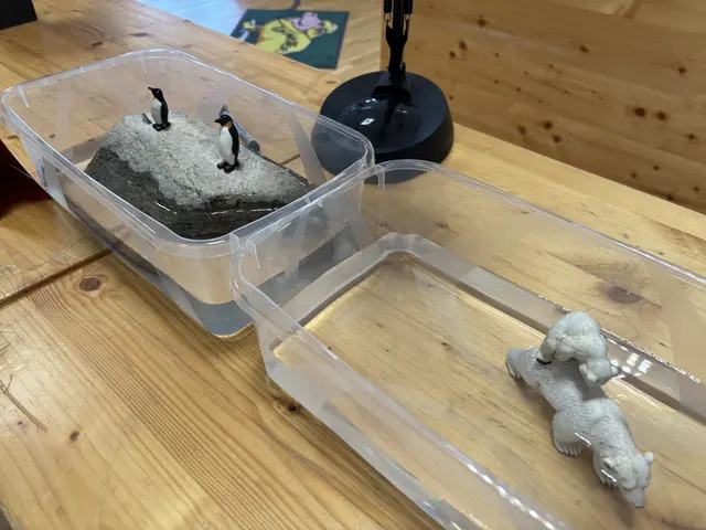 Foto: MeinBezirk/Helmut Riedl