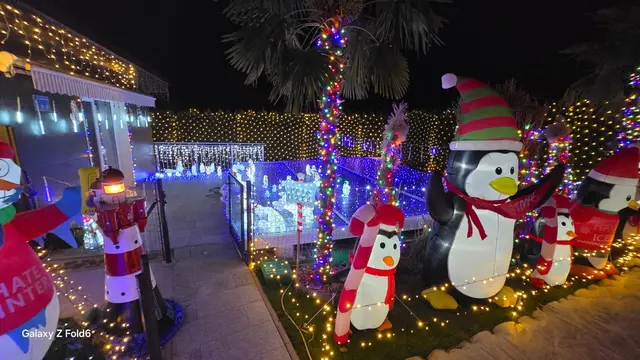 Foto: Stefan Wiesenhofer