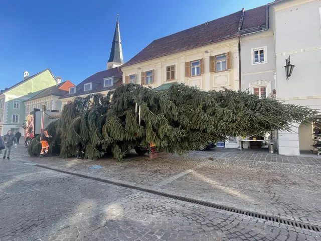 Foto: MeinBezirk/Katja Pagitz