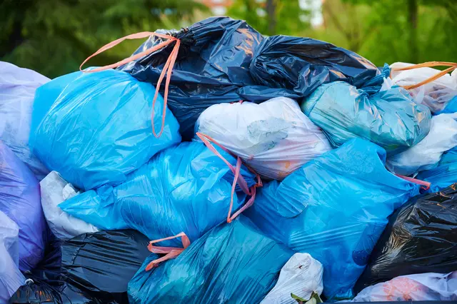 Rund 60 mit Speiseresten gefüllte Müllsäcke wurden, in einem Waldstück am Verditz entdeckt. (Symbolfoto) | Foto: stock.adobe.com/at/Itxu  