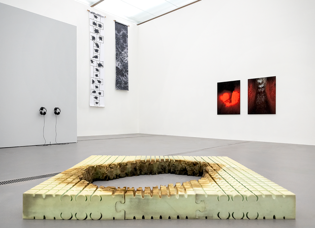 Das Lentos Kunstmuseum Linz präsentiert ab dem 12. November die Ausstellung "Vertical Horizon" als Teil der Kyiv Biennale. | Foto: Violetta Wakolbinger