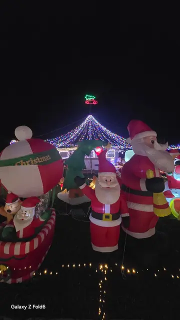 Foto: Stefan Wiesenhofer