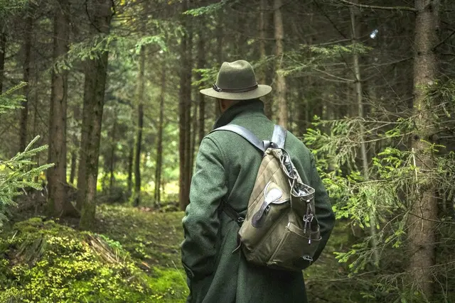 Das Kaisertal wird seit April durch einen Berufsjäger von der Stadt Kufstein selbst bewirtschaftet. (Symbolfoto) | Foto: Pixabay (Symbolfoto)