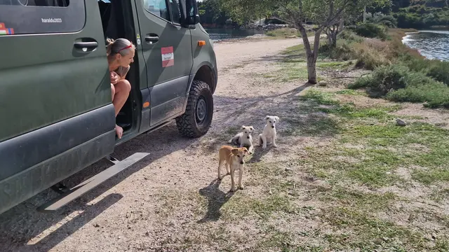 Foto: Harald Untersteiner