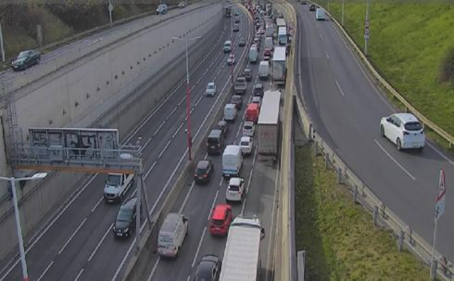Bilder kurz vor der Hanssonkurve am Dienstagmittag: Ein Fahrzeugbrand löste einen Stau aus.  | Foto: Screenshot Asfinag