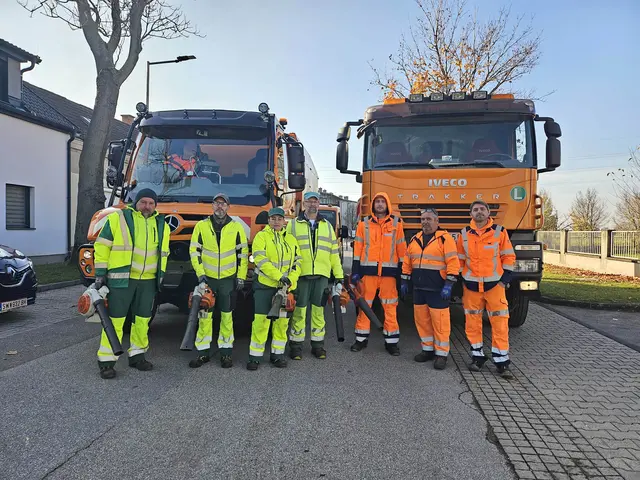 Wie immer arbeiten die Teams im Herbst zusammen. | Foto: Stadtgemeinde Schwechat