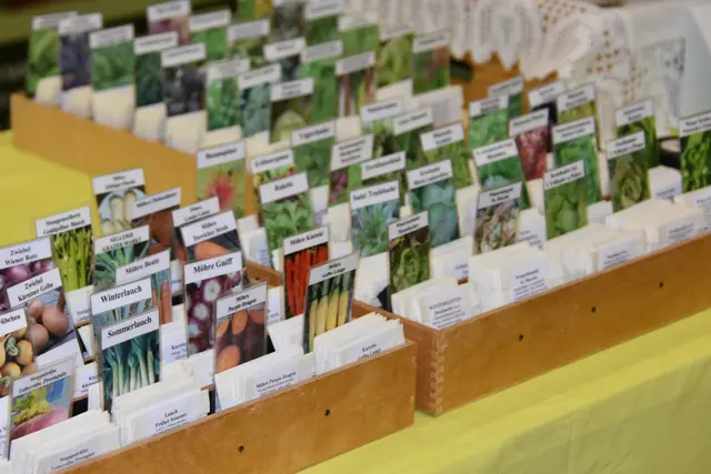 Foto: MeinBezirk/Helmut Riedl