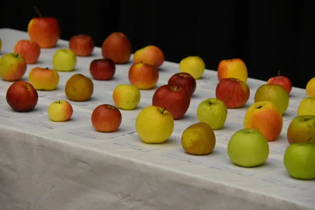 Foto: MeinBezirk/Helmut Riedl