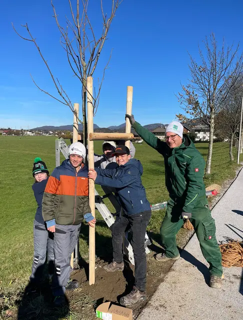 HTK-Schüller pflanzten vor der Schule Ahorn-Bäume. | Foto: HTK/Kanzian
