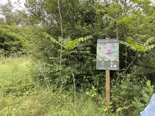 Die Biodiversität soll in Breitenlee weiter gefördert werden. | Foto: Luise Schmid/MeinBezirk
