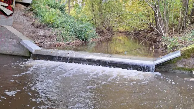 Die neu errichtete Krebssperre im Steinbach in der Gemeinde Schörfling. | Foto: blattfisch e.U. 