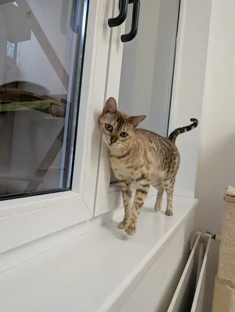 Foto: Tierschutzverein Tirol