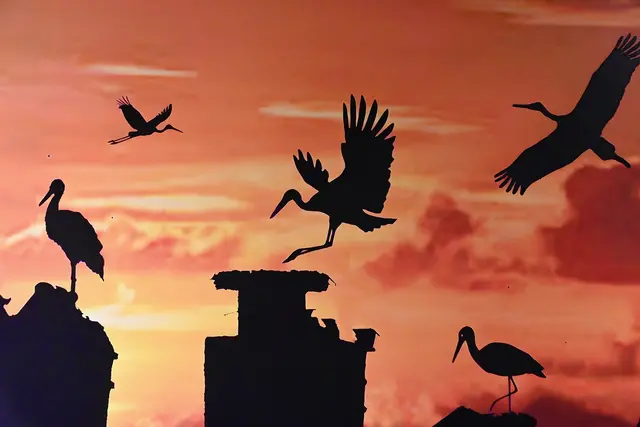 Foto: Vernissage der Fotoausstellung von Walter Horvath Titel: DIE Die Die und DIE DA