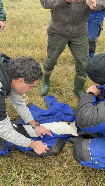 Rückkehr auf Merlins Farm – das Känguru ist wieder daheim. | Foto: Family City
