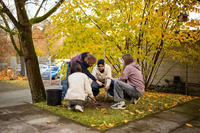 Der Schulgarten soll im Frühjahr neu erblühen. | Foto: Stadt Ried