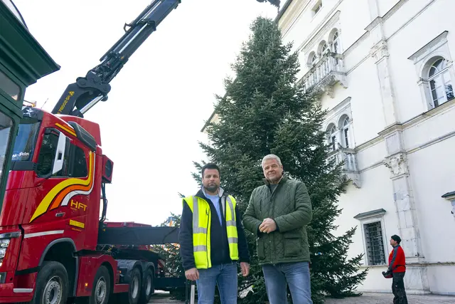 Stadtgärtnermeister Daniel Santner und Bürgermeister Gerhard Köfer vor dem 15 Meter hohen Christbaum beim Schloss Porcia | Foto: eggspress
