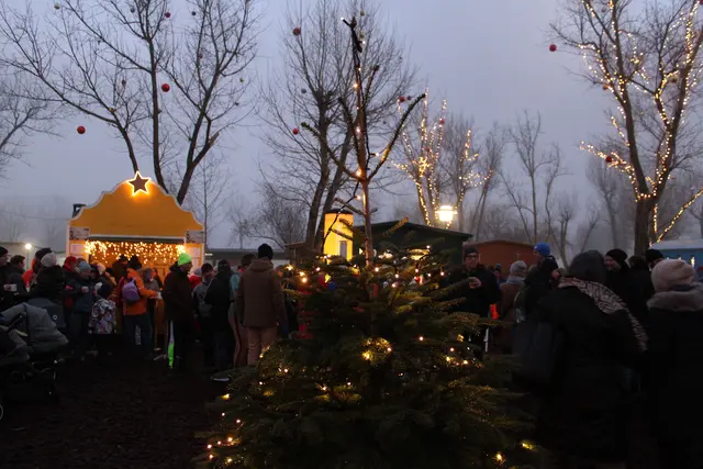 Der Adventmarkt in Neusiedl am See verbindet das See-Ambiente mit Weihnachtszauber. | Foto: Sophie Mantler