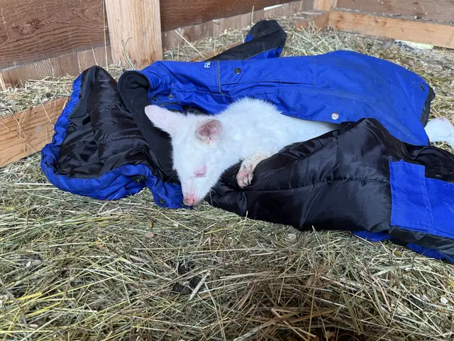 Glücklicher Abschluss einer intensiven Suchmission. | Foto: Family City