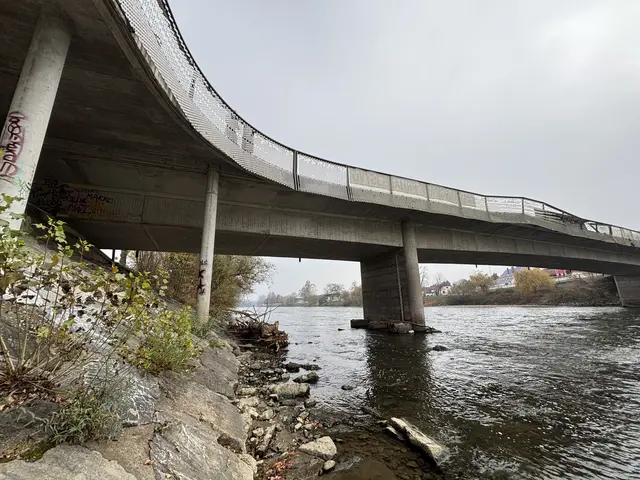 Die goMURra-Deklaration soll der Mur wieder mehr Raum geben. | Foto: MeinBezirk/Gerda Sammer-Schmidt