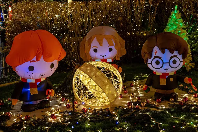 Foto: Sabine Gollnhuber