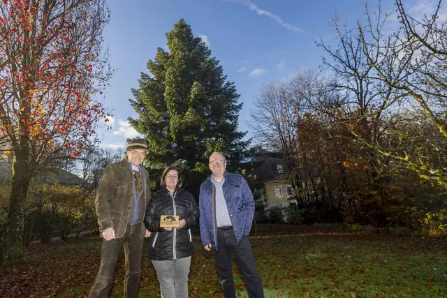 Christkindlmarkt-Obmann Wolfgang Haider (links) mit den Baumspendern Manfred und Evelyne Bauer. | Foto: christkindlmarkt.co.at