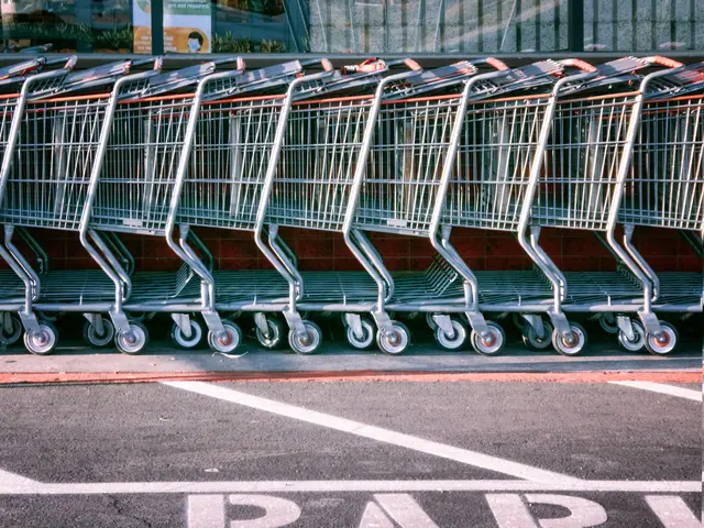 Die 50. Kalenderwoche des Jahres startet mit einem katholischen und auch gesetzlichen Feiertag. | Foto: Donald Giannatti/Unsplash
