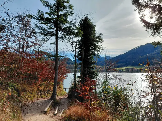 Foto: H.Bachinger