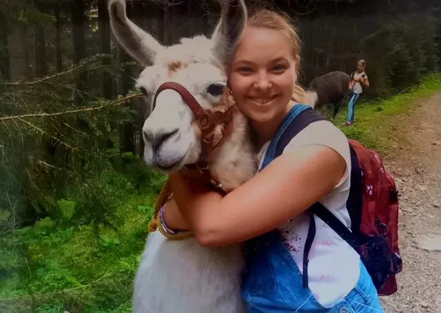 Viele Gäste erfreuten sich auch 2025 über die Lama-Touren rund um Hirschegg. | Foto: Lama Touren