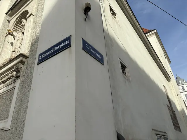 Foto: Luca Arztmann/MeinBezirk