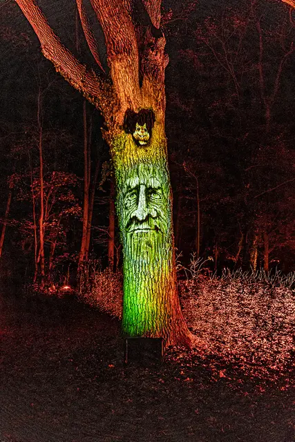 Der sprechende Baum | Foto: illumina