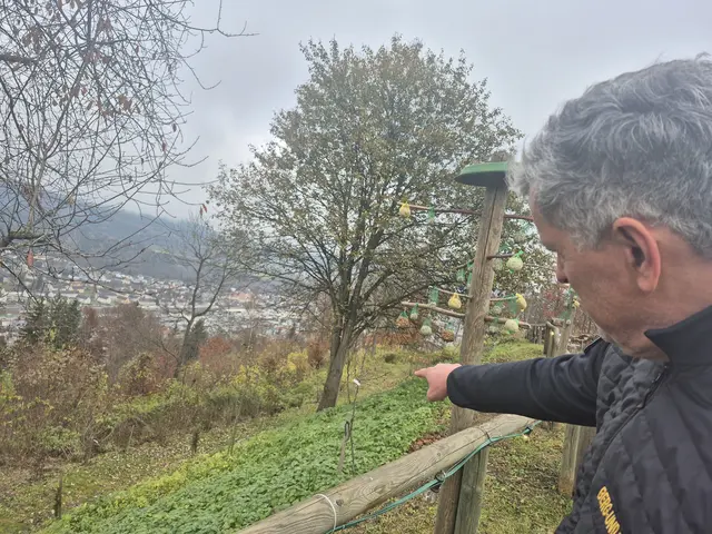 Frager zeigt auf den Rundweg um den Burghügel der nein angelegt und bepflanzt wurde.