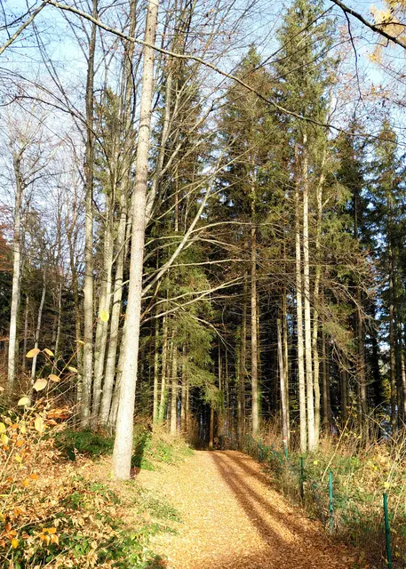 Foto: H.Bachinger