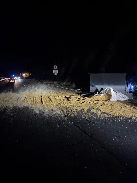 Das Futtermittel war über die ganze Straße verstreut. | Foto: FF Schwarzach