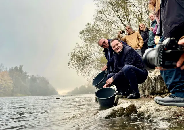 Nach der UNterzeichnung der Deklaration auf der Freundschaftsbrücke zwischen Bad Radkersburg und Gornja Radgona setzten die beiden Minister gemeinsam junge Störe in die Mur aus.  | Foto: Mein Bezirk/Gerda Sammer-Schmidt