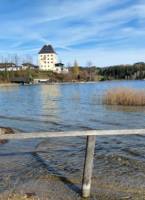 Foto: H.Bachinger