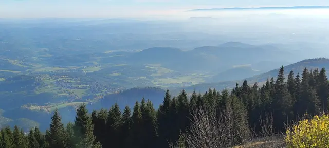 zögerlich hebt sich der Nebel... | Foto: I.Wozonig