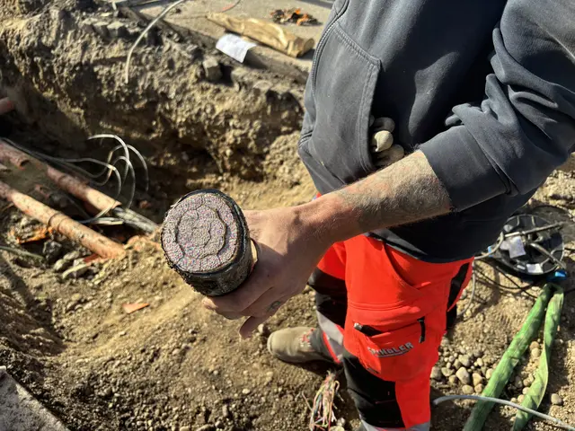 Auch dieses starke Kabel wurde durchtrennt. | Foto: MB/Wiesbauer