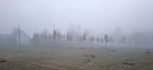Bald lichtet sich der Nebel ...   (Bild 12.11.2025 ca. 17.00 Uhr)  | Foto: Urheberrechtlich geschützt. Keine Nutzung/Vervielfältigung ohne Genehmigung.