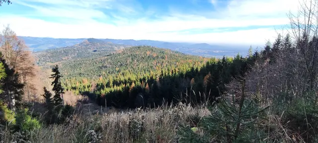 links hinten die Fischbacher Alpen mit dem Stuleck, dann der Hochwechsel, und rechts geht's in Richtung Burgenland - im Nebel... | Foto: I.Wozonig