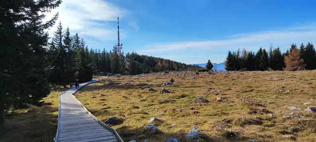 zurückgeschaut zum Sender... | Foto: I.Wozonig