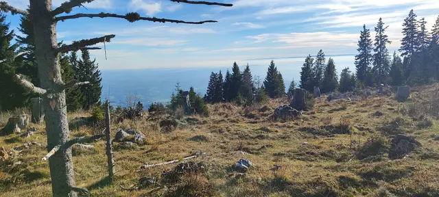 im Grazer Becken hält sich der Nebel hartnäckig... | Foto: I.Wozonig