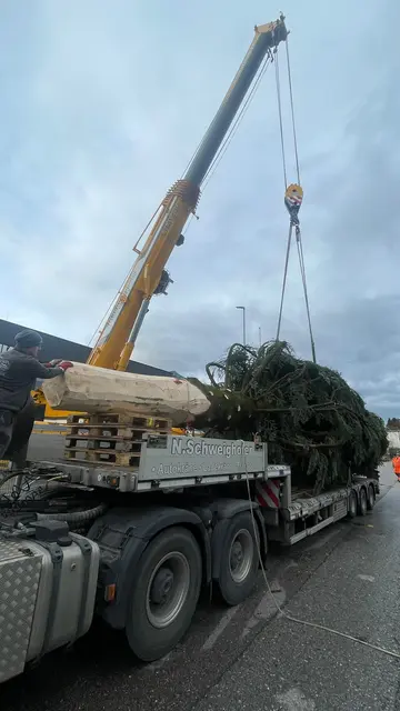 Die prächtig gewachsene Tanne ist 21 Meter hoch und rund acht Tonnen schwer.  | Foto:  christkindlmarkt.co.at