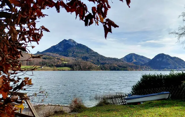 Foto: H.Bachinger