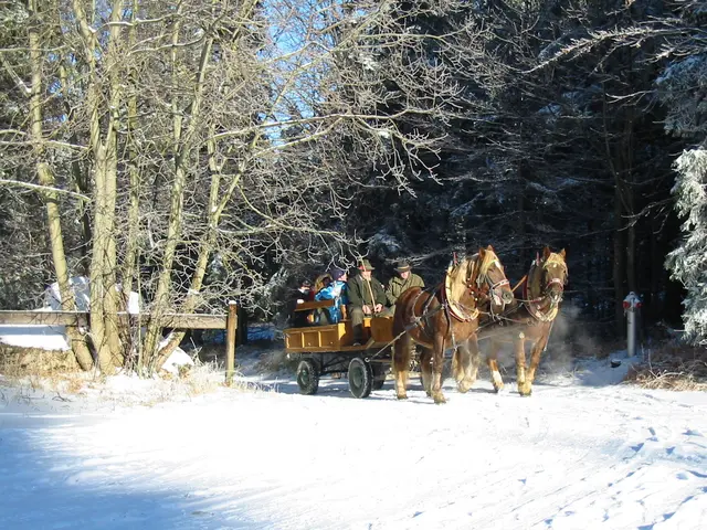 Kinderadvent Naturpark Hohe Wand | Foto: MeinBezirk Archiv