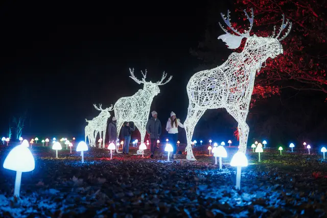 "Lumagica" geht noch bis 6. Jänner über die Bühne. | Foto: Region Graz - studio draussen