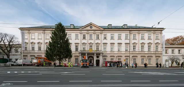 Die rund 20 Meter hohe Fichte wurde vor dem Schloss Mirabell aufgestellt.  | Foto: Stadt Salzburg