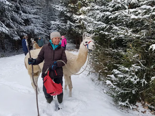 Nun warten Winterwanderungen durch das verschneite Hirschegg auf die Gäste. | Foto: Lama Touren