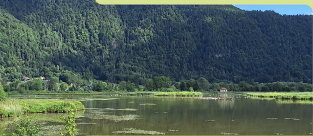 Moore faszinieren und sind schützenswert.  | Foto: Privat 